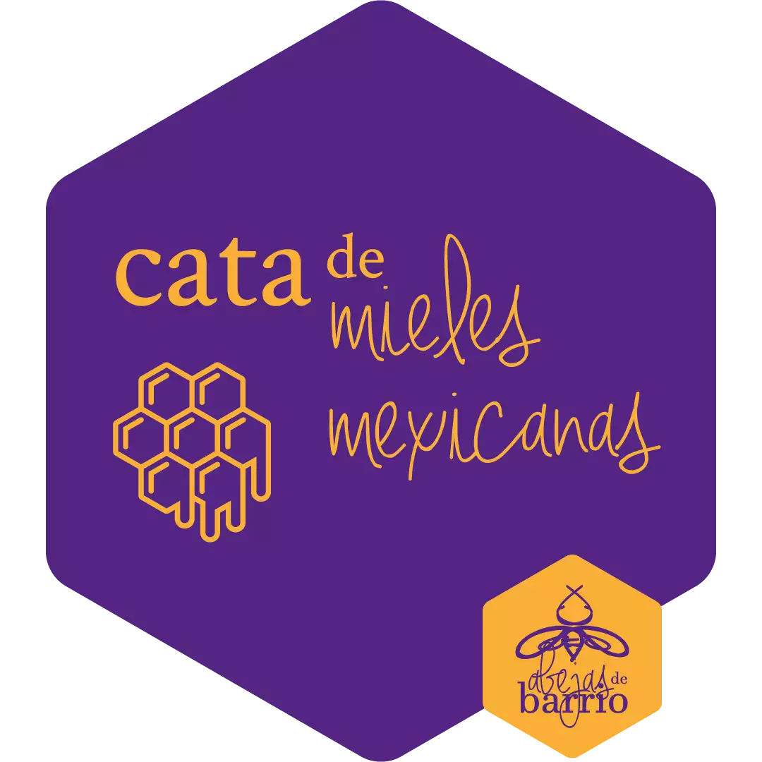 Cata de mieles mexicanas