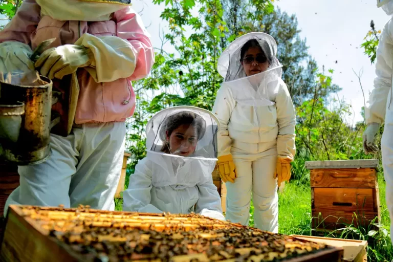 Ruta de las Abejas - Abejas de Barrio -1