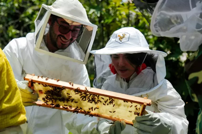 Ruta de las Abejas - Abejas de Barrio- 2