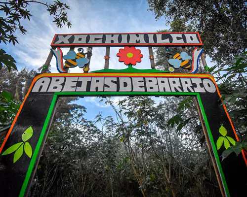 Visita un apiario
